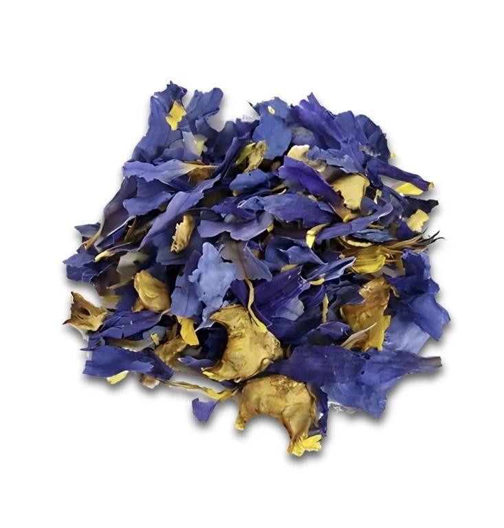 Modrý leknín (Blue lotus) Nymphae Caerulea